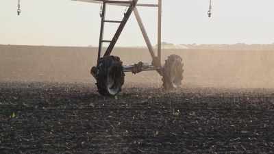 We're at cost of
production or less. - Food and Country