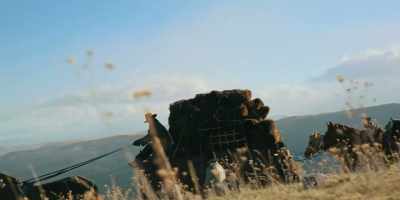 We're carrying 1,500 hides. - Butcher's Crossing