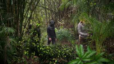 were-closing-in-on-gorgon-my-king - Marvel's Inhumans