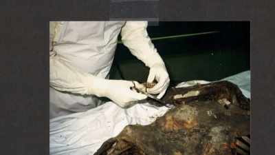 We're dealing with cadavers
and working on them - Homicide Hunter: Devil in the Mountains