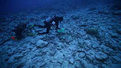 We're down there counting
fish, measuring corals, - Protecting Paradise: The Story of Niue