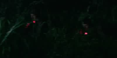 We're fucking surrounded. - Primitive War