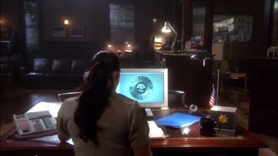 WE'RE GETTING REPORTS
FROM ALL OVER TOWN, MA'AM. - Eureka