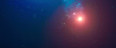 We're getting there, Kate. - 47 Meters Down