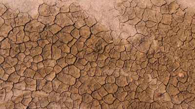 We're going to have to
learn to manage our resources, - Flood in the Desert