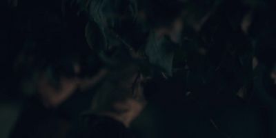 We're going to need a lot. - The Handmaid's Tale