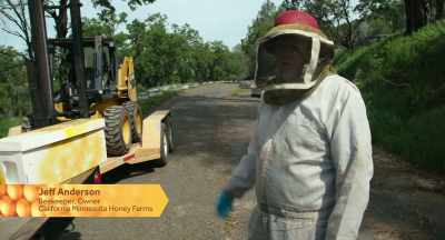 We're going to put in
some queen cells - The Pollinators