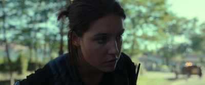 - We're going to the hospital.
- No, no hospitals. - The Animal Kingdom