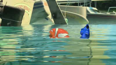 - We're going to find it. - Finding Nemo