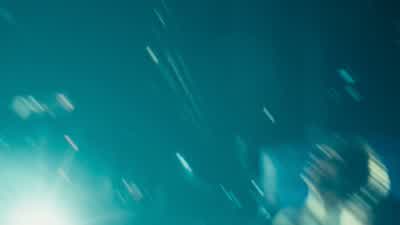 We're gonna be okay. - Cloverfield