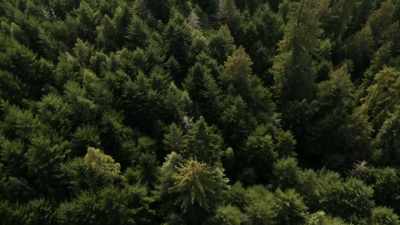  We're gonna find it. - Expedition Bigfoot
