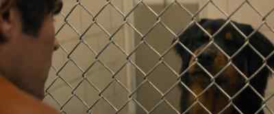 We're gonna get a dog one day,
don't worry. - Extremely Wicked, Shockingly Evil and Vile