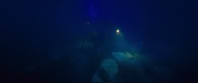 We're gonna go home! - 47 Meters Down