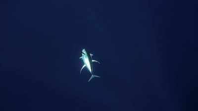  We're gonna
 let that one go out. - Deadliest Catch: Bloodline