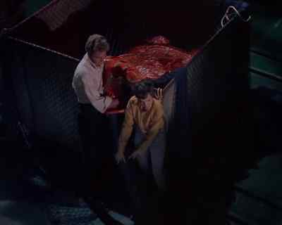 We're gonna need
some tie ropes. - Land of the Giants