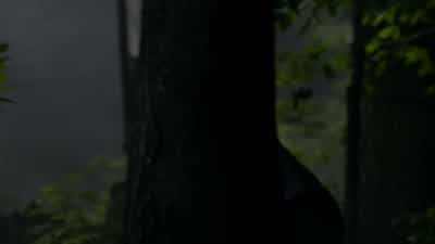We're gonna run two team lines here... - The Blacklist