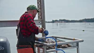 We're harvesting data, and we're
harvesting carbon and nitrogen. - Food and Country