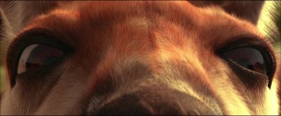 We're having a very intimate non gay moment - Kangaroo Jack