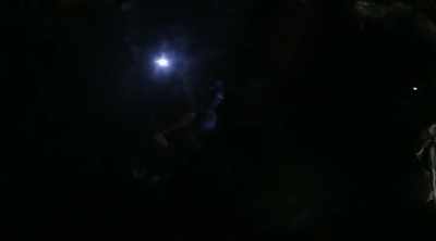 We're hunting for this wasp at
night because people say - Kings of Pain