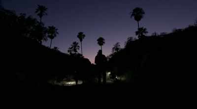 We're in Mexico looking
for the tarantula hawk. - Kings of Pain