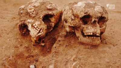 We're in the grounds
of a medieval abbey, - Curse of the Ancients with Alice Roberts