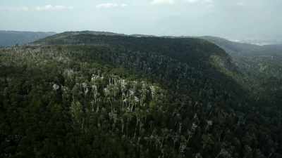 We're in the same
homer‐o‐o‐o‐oom! - When Nature Calls with Helen Mirren