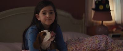 We're in trouble, Molly.
Yes, we are. - A Dog's Journey