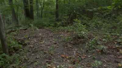 Were they innocent victims
of disease, - Secrets of the Underground