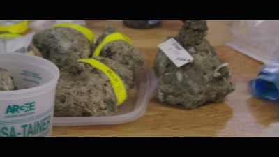 We're interested in the organisms that - The Most Unknown