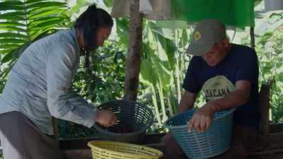 We're introduced to one farmer - Impact x Nightline