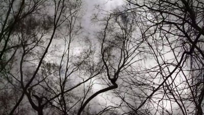 We're just gettin' started." - Beyond Skinwalker Ranch