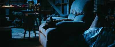 We're just gonna rest, - Dog