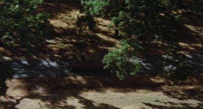 We're just traveling down this little black line here - The Muppet Movie