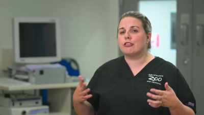 We're kind of
at the default diagnosis - Secrets of the Zoo