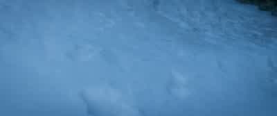 We're leaving a trail. - Icefall