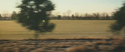 We're like the Factionless now. - Divergent