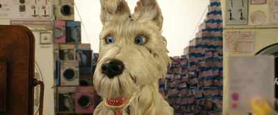 We're not a rare breed: - Isle of Dogs