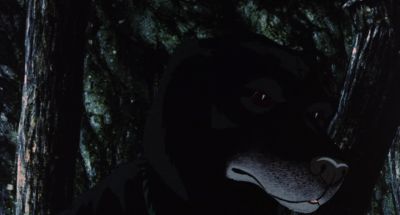 We're not about to die No - The Plague Dogs