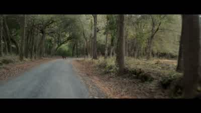 -We're not going back for him. - Gerald's Game