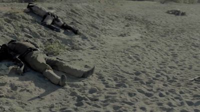 We're on our own now, Teddy. - Westworld