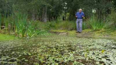 We're only just beginning to
understand the many different ways - Attenborough's Life in Colour