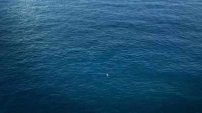 We're only just discovering
in any detail - Blue Planet II