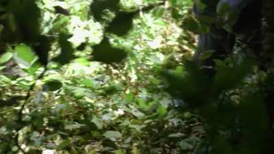 We're out here in the dark
where it's extremely dense - Expedition Bigfoot