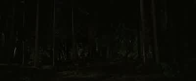 We're outnumbered. - The Twilight Saga: Breaking Dawn - Part 1