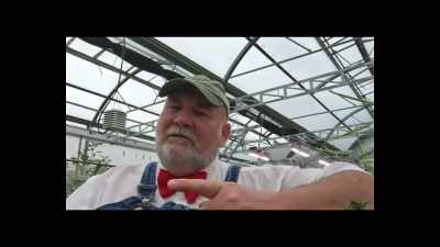 We're planting
literally every day, - Food and Country