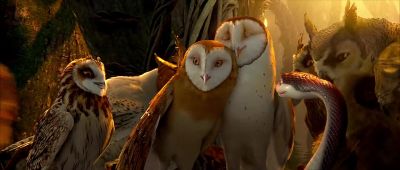 We're so proud of you Ha ha - Legend of the Guardians: The Owls of Ga'Hoole