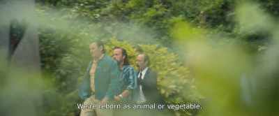 We're reborn as animal or vegetable. - Paris Pigalle