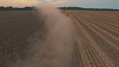 We're sitting next to a field
of non-GMO white corn - Neat: The Story of Bourbon