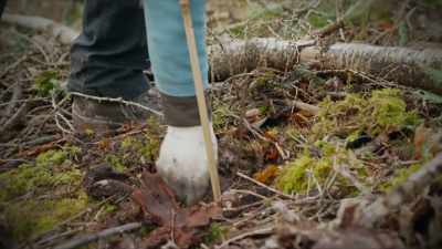 We're starting
to rewet the land, - A Brief History of the Future
