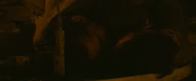 Hey Grady Get up We're still in this fightWe're still in this fight - Fury